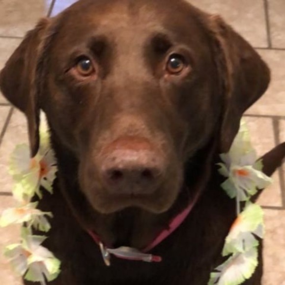 Meet your Posher, Caleb - Picture 1 of 1